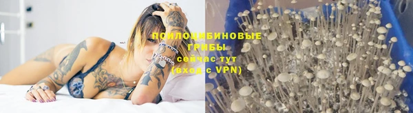 эйфоретик Армянск
