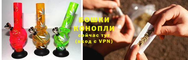 шишки Аркадак