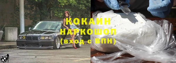 шишки Аркадак