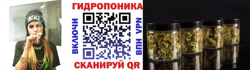 МАРИХУАНА план  Унеча 